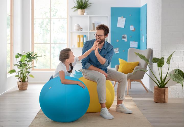 Produktbild Leitz Ergo Cosy Active Sitzball (65 cm)