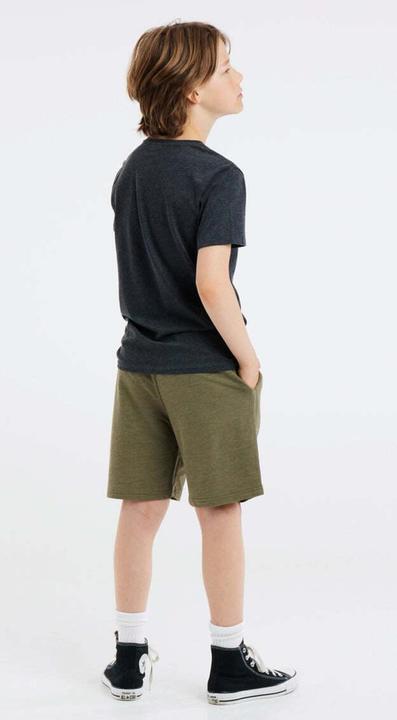 Actual product image Protest Jogging Shorts Prtrolan Jr (152)