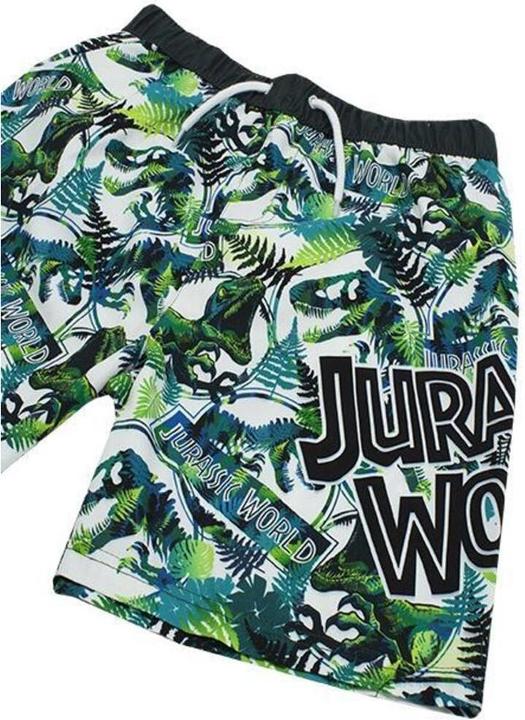 Actual product image Jurassic World Boys' shorts (128)