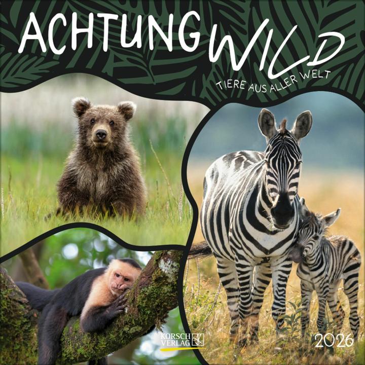 Achtung wild - Tiere aus aller Welt 2026 (30 x 30 cm, Harter Einband, Deutsch)