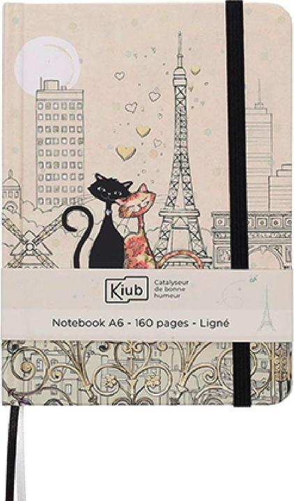 Kiub Bug Art Paris Amoureux (A6)