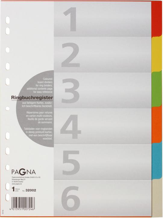 Pagna Karton-Register für A4 - farbig