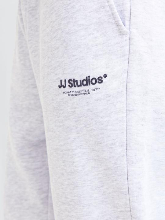 Actual product image Jack & Jones Regular Fit Relaxed Fit Hosen Relaxed Fit Hosen (M)