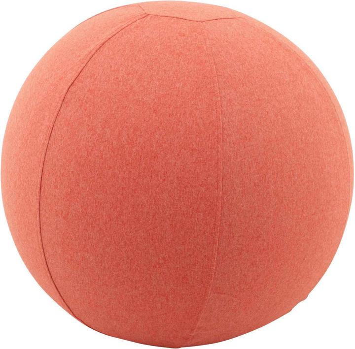 Sitting Point Sitzball Felt (65 cm)