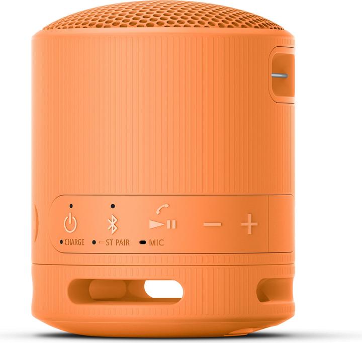 Productafbeelding Sony SRS-XB100 (16 h, Oplaadbare batterij)
