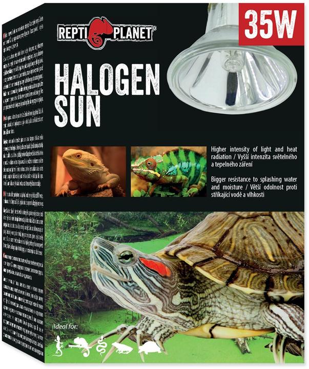 Repti Planet Terrarienlampe Halogen Spot 35 W (UVA, Spritzwasserfest)