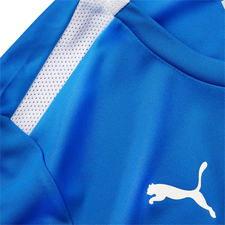 Produktbild Puma teamLIGA Jersey W-704934 (L)