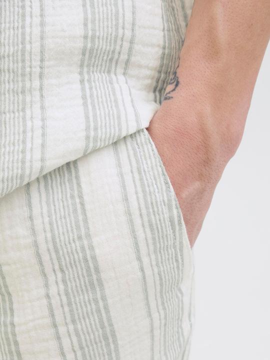 Actual product image Jack & Jones Relaxed Fit Relaxed Fit Shorts Relaxed Fit Shorts (XS)