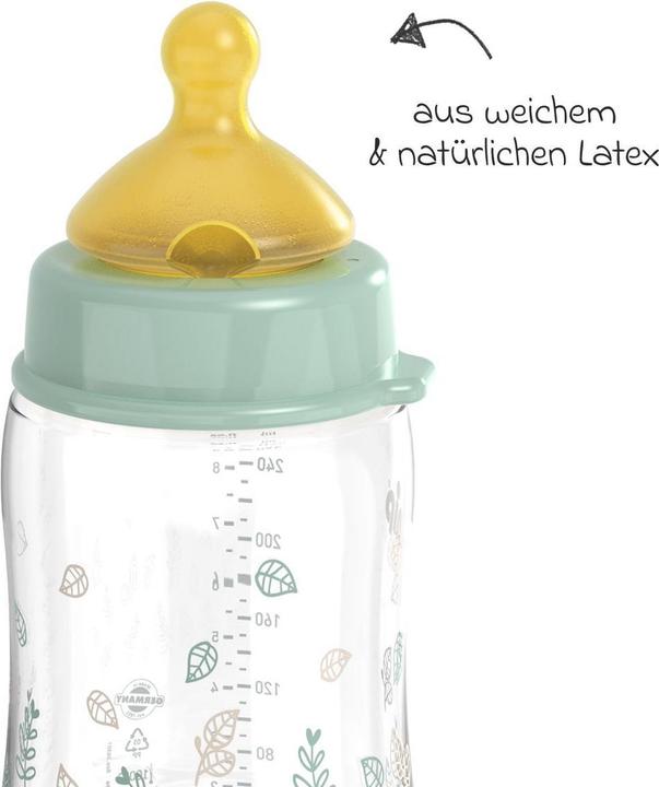 Image du produit NIP Babyflaschen PP-Flasche Cherry Green 260 ml + Latex-Trinksauger (260 ml)
