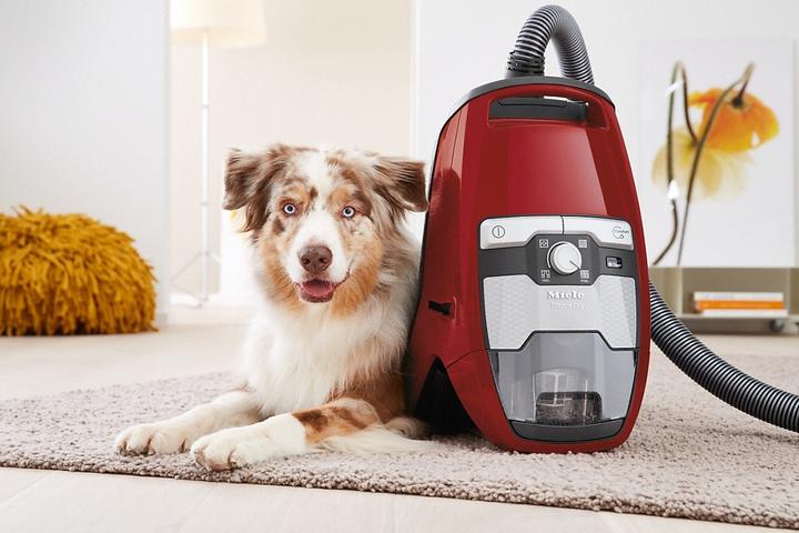 Immagine prodotto Miele Blizzard CX1