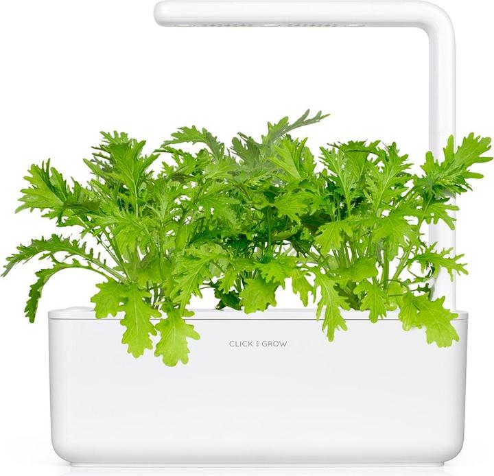 Image du produit Click and Grow moutarde en feuilles (Graines d'herbes aromatiques)
