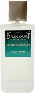 Brecourt Paris Brecourt Esprit Mondain Eau De Parfum 100ml (Eau de Parfum, 100 ml)