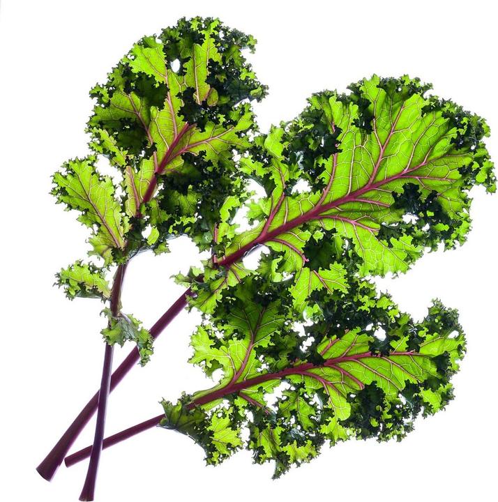 Produktbild Click and Grow Roter Kohl (Gemüsesamen)