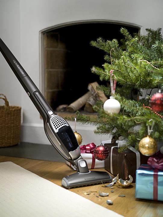 Actual product image Electrolux Ergorapido 2in1 ZB2816