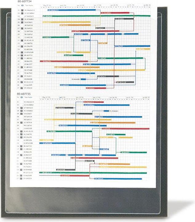 Immagine prodotto Biella 3L Tasche di visualizzazione A4 (A4, 50 x)