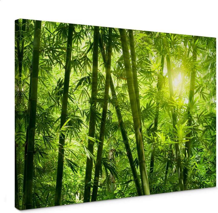 Immagine prodotto Trenddeko Il sole nella foresta di bambù (45 x 30 cm)