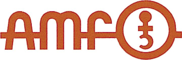 Actual product image Amf T slot block