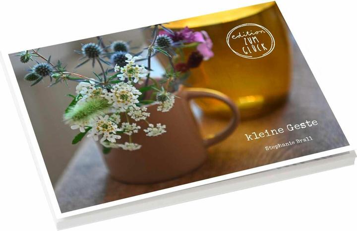 Produktbild Brall:kleine Geste - Postkartenbuch (20 Stk.)