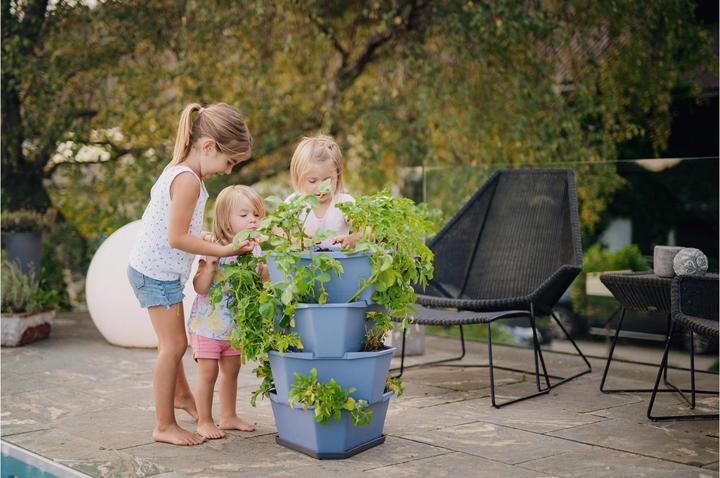 Actual product image Gusta Garden Rearing pots PAUL POTATO Starter, 4 tiers, blue-grey (38.80 cm)