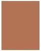 Actual product image Shiseido Powder Gel Eye Shadow (05 Zoku-Zoku Brown)