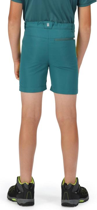 Produktbild Regatta Sorcer II Shorts (170)
