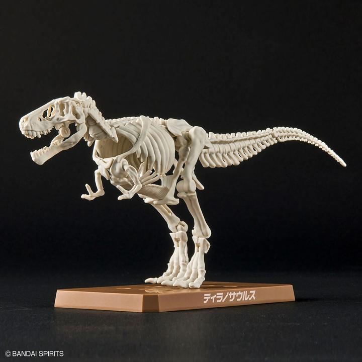 Actual product image Bandai DINOSAUR - New Dinosaur Plastic Tyrannosaurus (Tentative) - Model Kit