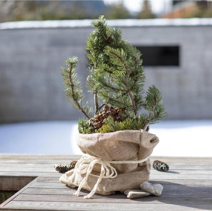 Produktbild Windhager Jute-Sack