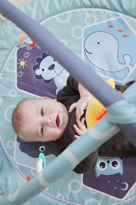 Produktbild Scandinavian Baby Products Zoo Activity Gym