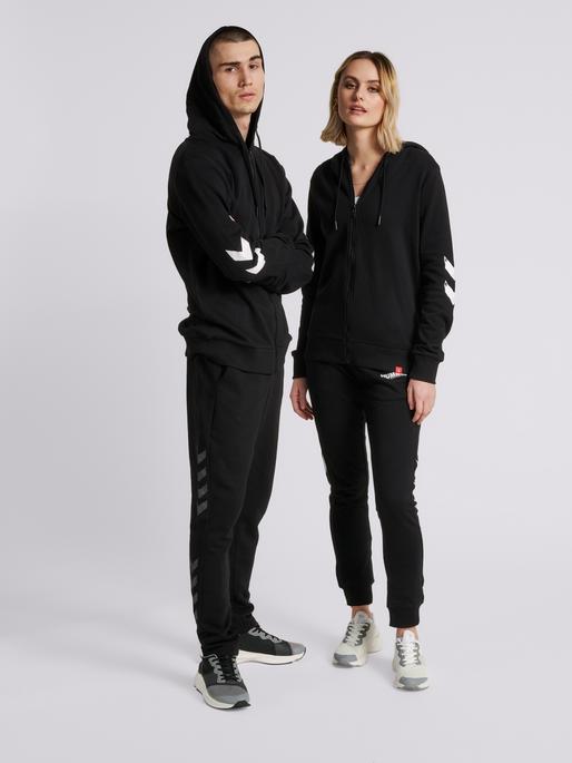 Actual product image hummel Legacy Zip Hoodie (L)