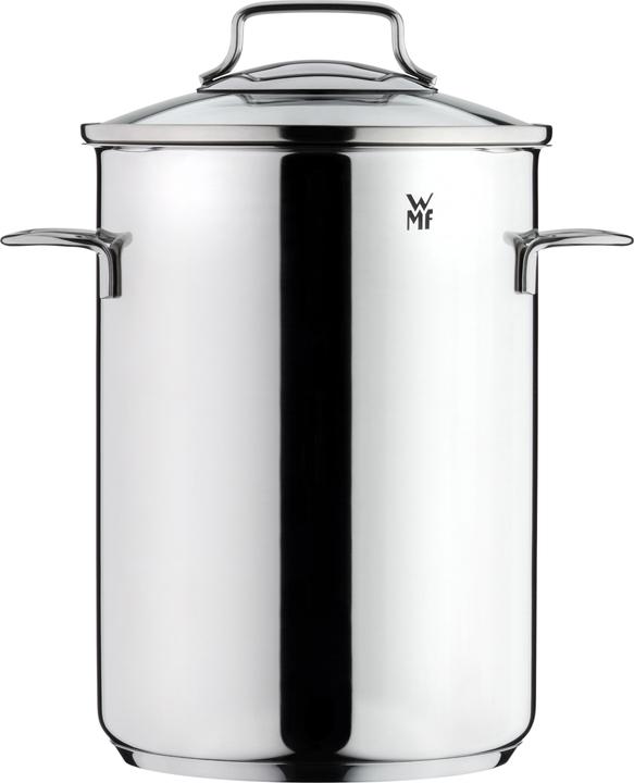 WMF Spargeltopf Kochtopf Induktion hoch 16cm Topf mit Glasdeckel 5,0l Edelstahl (16 cm, Kochtopf, Edelstahl)