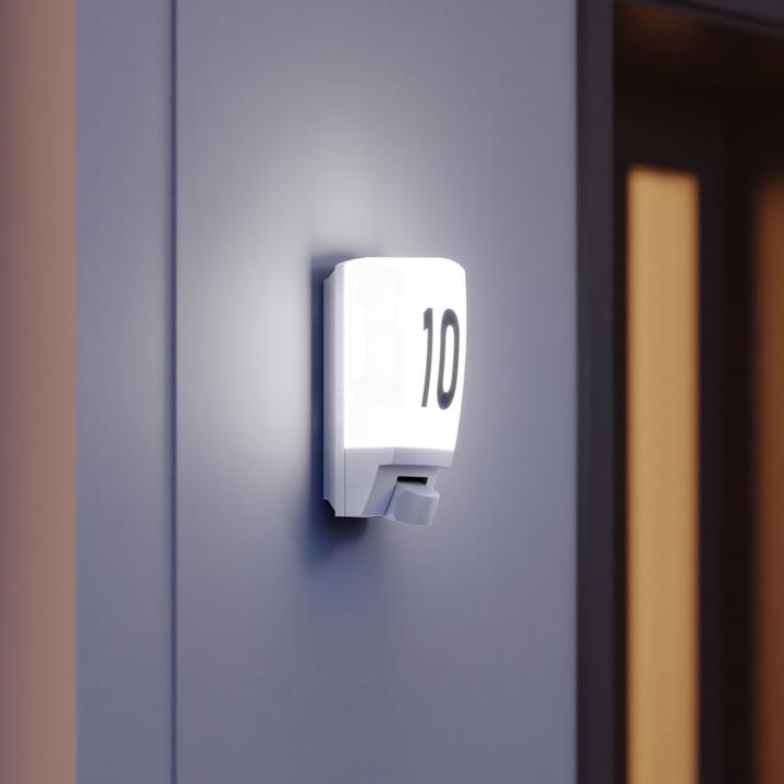 Actual product image Steinel Sensor lamp L 1 (10 m)