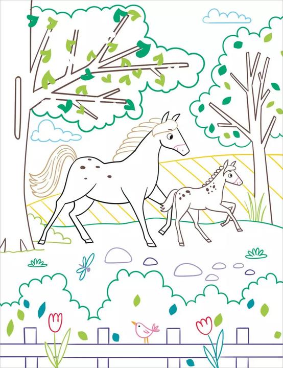 Produktbild Zauberbilder Pferde & Ponys