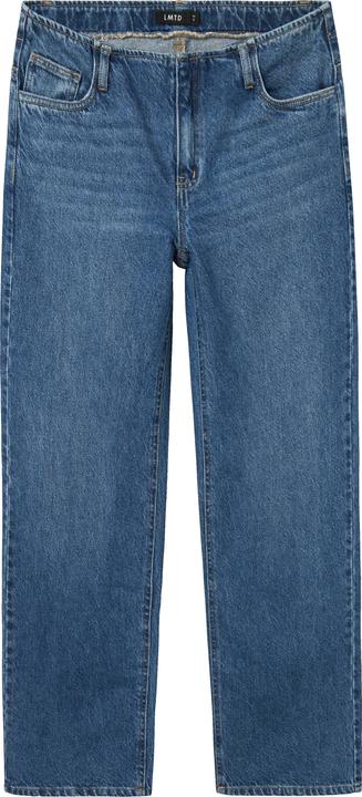 Lmtd Denim Hose (164)