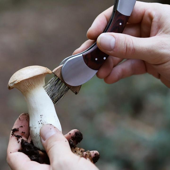 Produktbild Dönges Pilzmesser (8 cm)