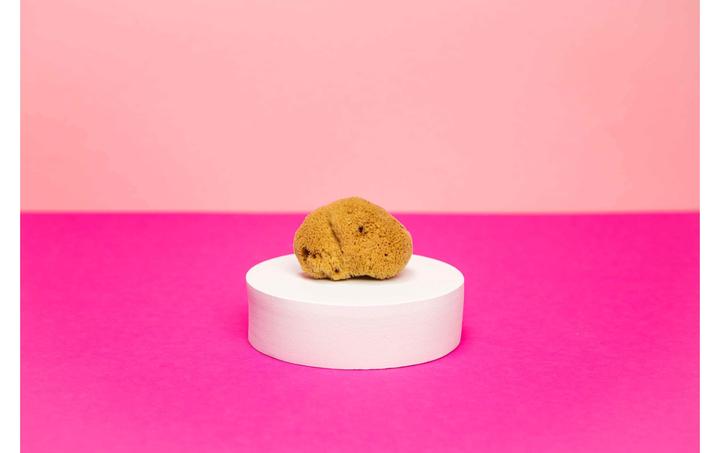 Actual product image Hera Organics Menstruationsschwämme (3 x, Large)