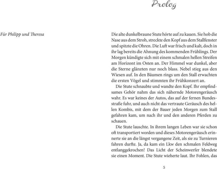 Produktbild Elena Ein Leben für Pferde 2: Sommer der Entscheidung (Deutsch, Nele Neuhaus, 2017)