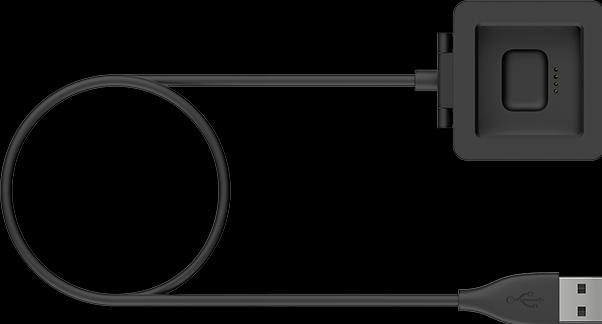 Image du produit Fitbit Câble de chargement de la Blaze