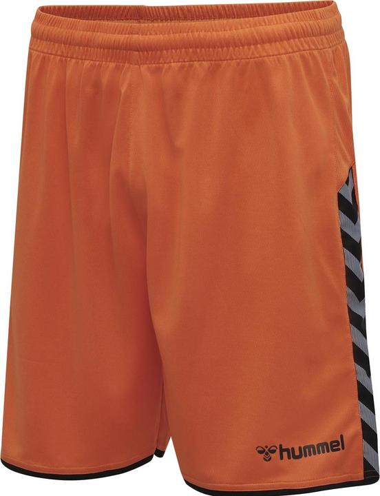 Actual product image hummel Authentic Poly Shorts (M)