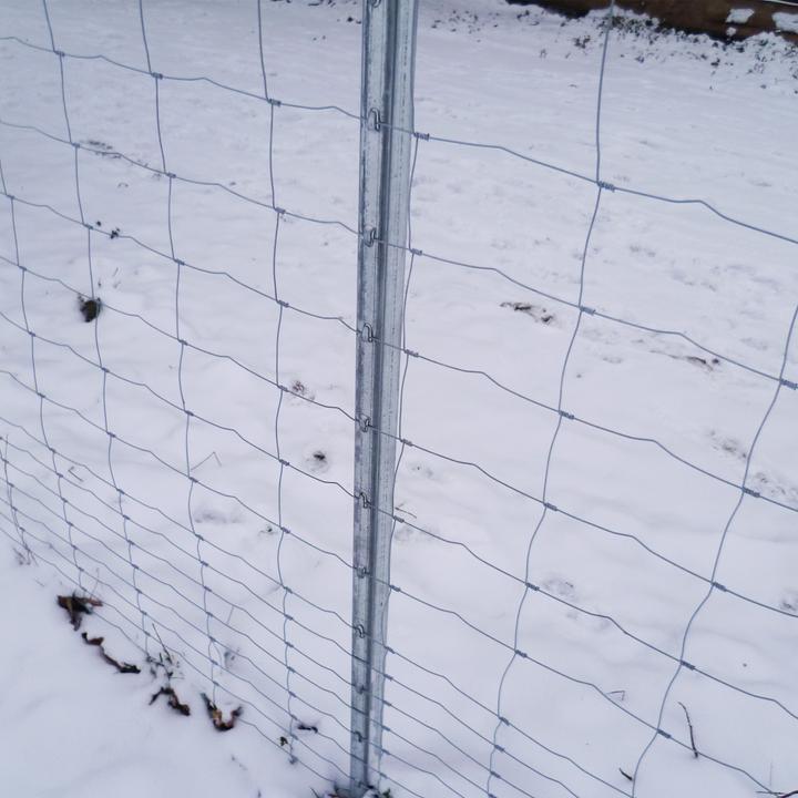 Immagine prodotto Aquagart 200m Wildzaun Forstzaun Knotengeflecht 125/13/30+ Z-Profil Zaunpfosten