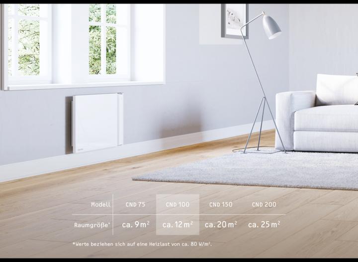 Actual product image Stiebel Eltron CND 100, 1 kW Duo wall convector for approx. 12 m², without plug (1000 W)