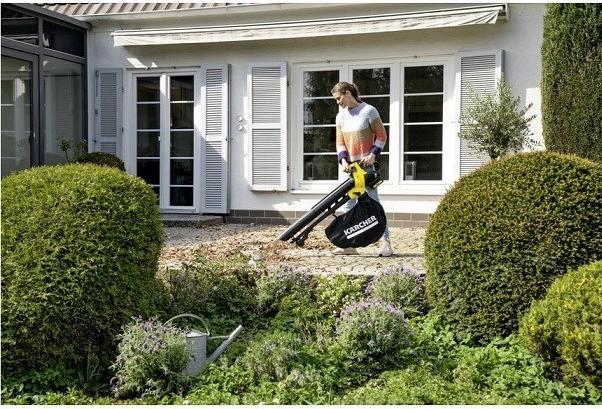 Actual product image Kärcher BLV 36-240 (Rechargeable battery operated, Leaf vacuums, Vacuum cleaners & blowers, Leaf blower)