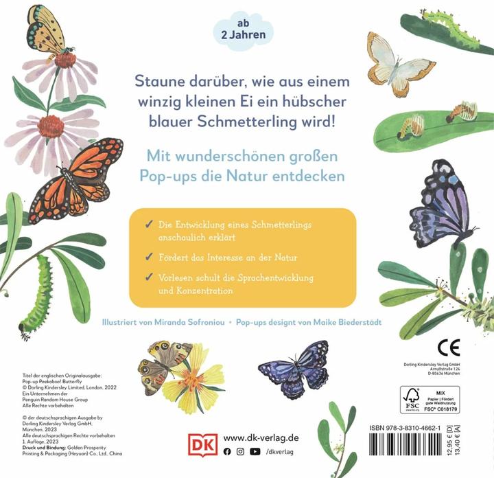 Produktbild Mein Pop-up Buch Schmetterling (Deutsch)
