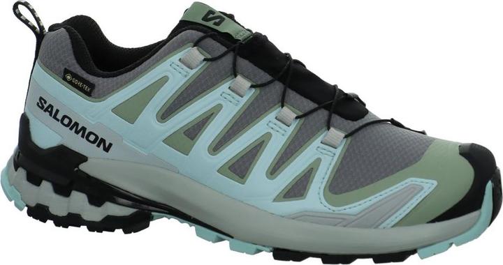 Salomon Outdoorschuh XA PRO 3D V9 GTX W