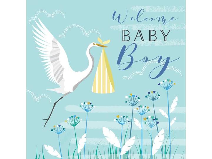 Image du produit Cart Bienvenue bébé garçon (1 pcs)