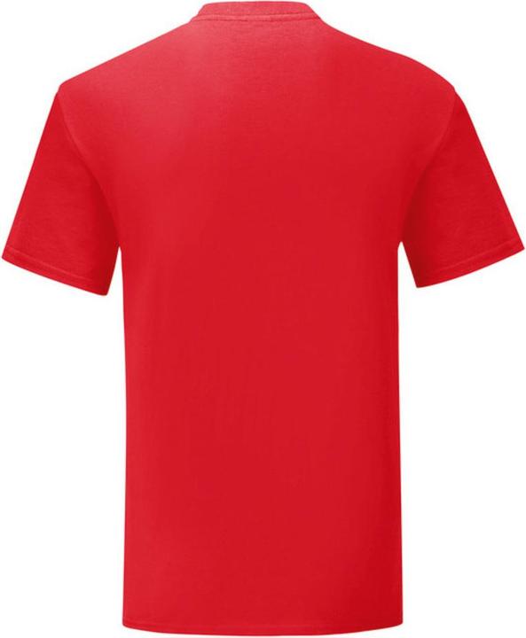 Actual product image Fruit of the Loom Iconic 150 TShirt (4XL)
