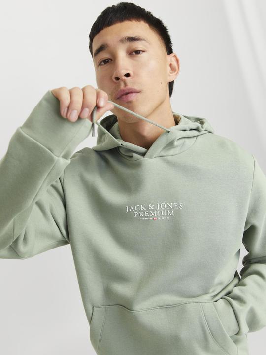 Immagine prodotto Jack & Jones Jprbluarchie Sweat Hood Noos (L)