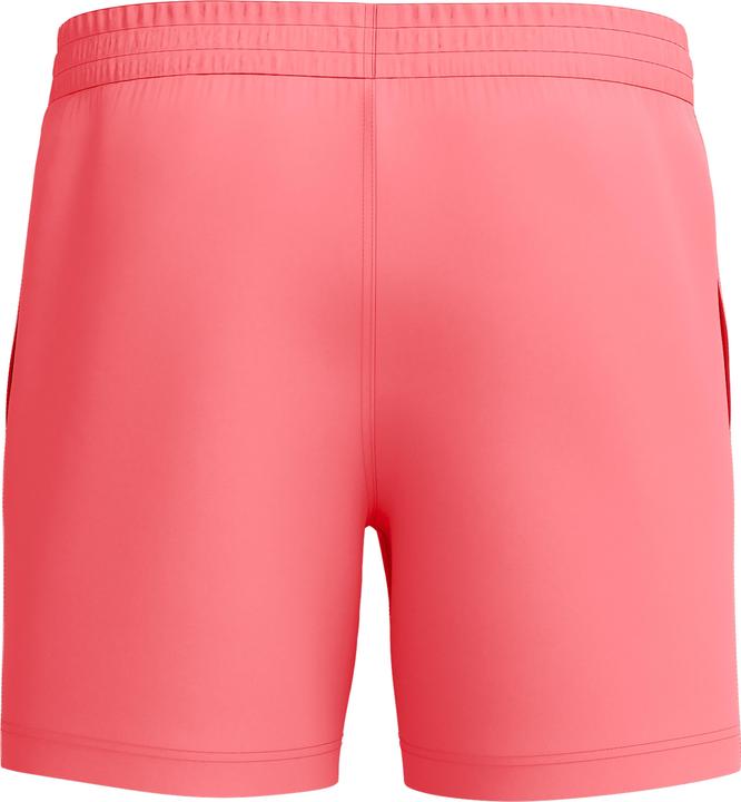 Actual product image Speedo Essential 16" Watershort (XL)