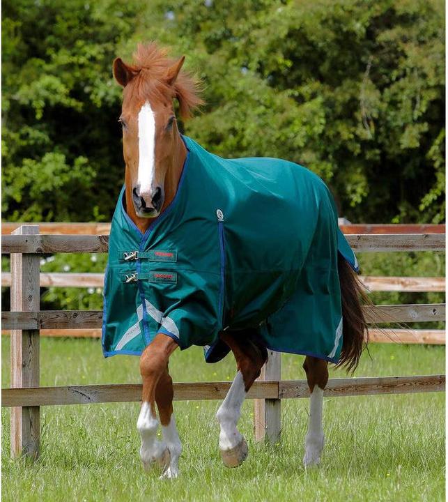 Premier Equine Buster Original 0 g