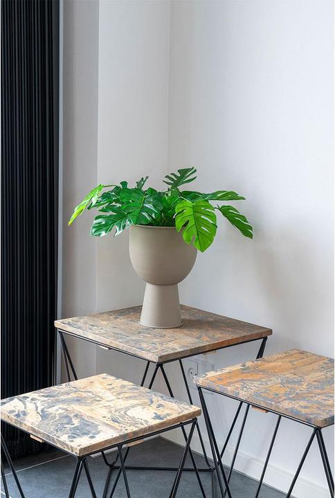 Produktbild House Nordic Monstera (45 cm)