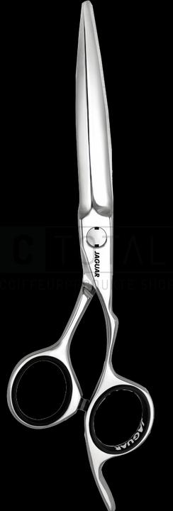 Immagine prodotto Jaguar Airone (13.97 cm)